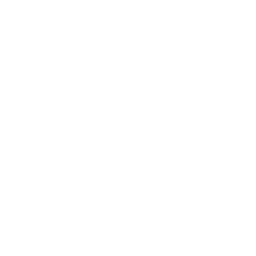 MINT upholstery logo